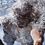 cropped-201907-campeonatos-regionais-infantis-verão.jpg