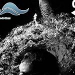 cropped-anl09_1920_banner.jpg